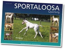 Sportaloosa Quarterly January 2009