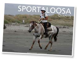Sportaloosa Quarterly April 2009