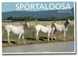 Sportaloosa Quarterly magazine - issue 4, 2009