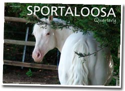 Sportaloosa Quarterly magazine - issue 4, 2009
