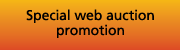 Web auction promotion
